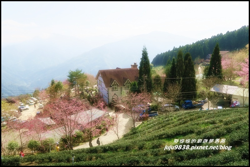 山上人家8.JPG 山上人家8.JPG