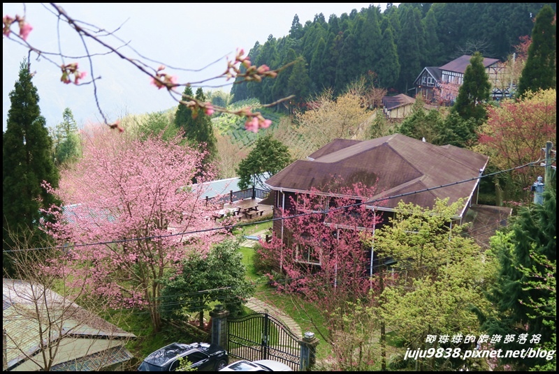 山上人家9.JPG 山上人家9.JPG