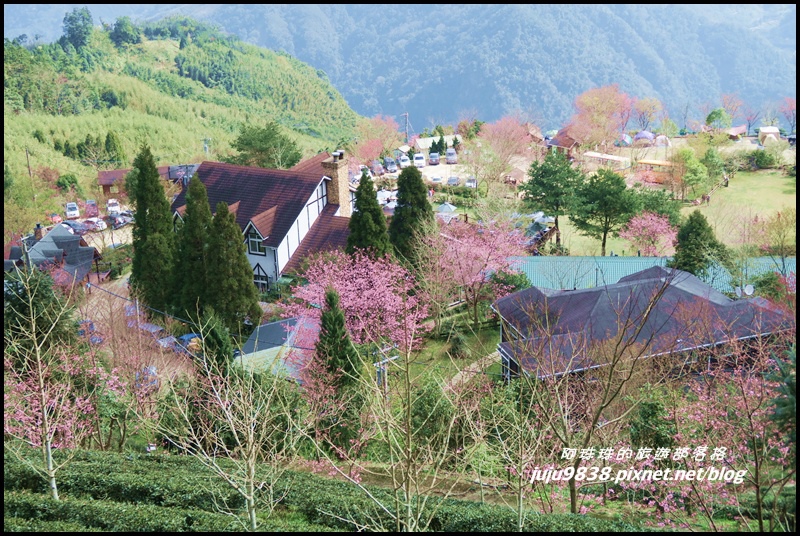 山上人家10.JPG 山上人家10.JPG