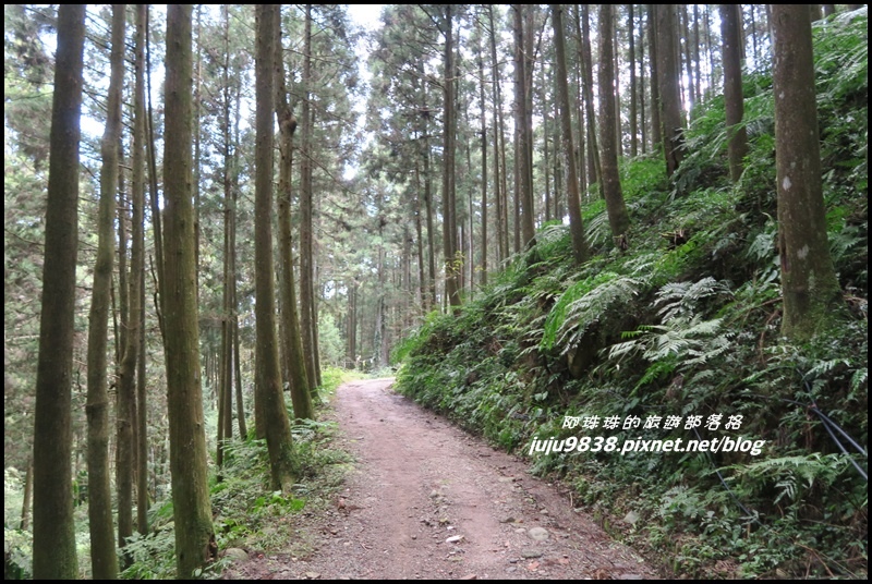 山上人家11.JPG 山上人家11.JPG