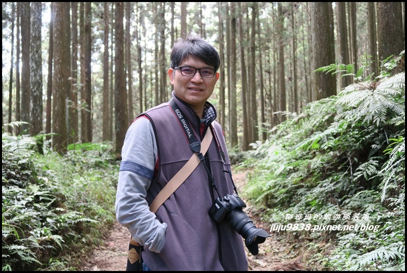 山上人家12.JPG 山上人家12.JPG