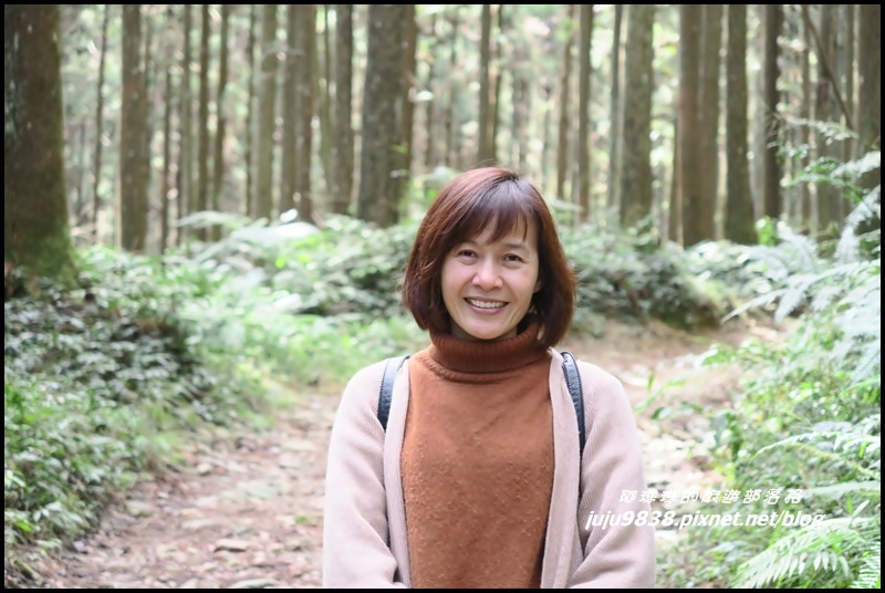 山上人家13.JPG 山上人家13.JPG