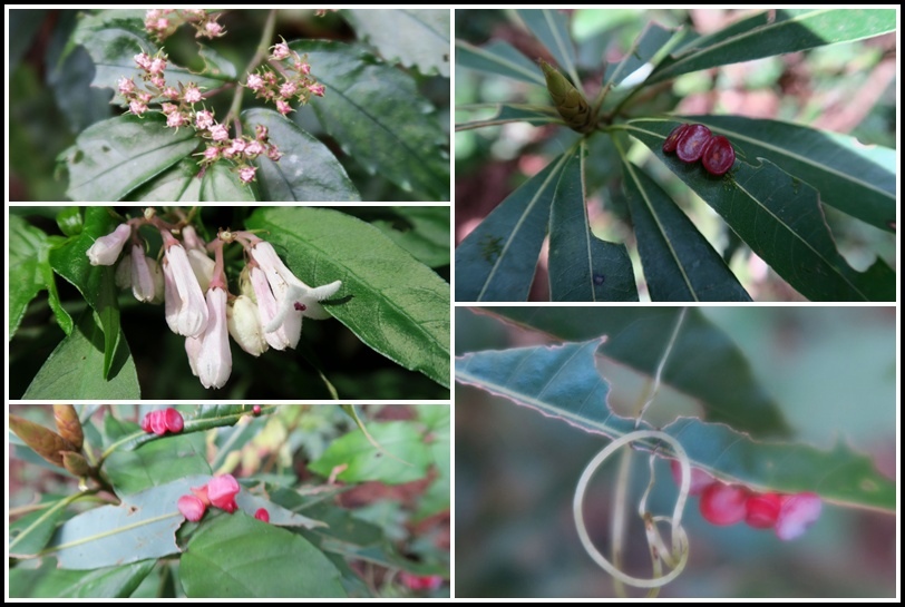 山上人家14.jpg 山上人家14.jpg