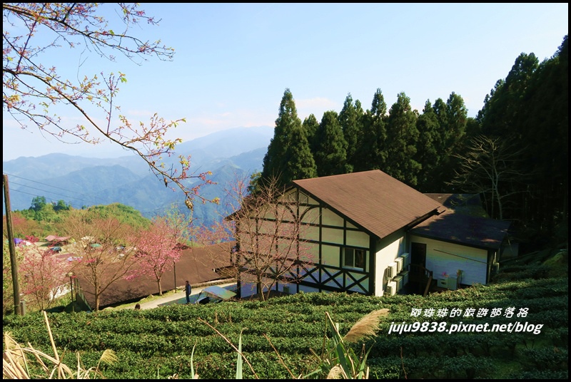 山上人家17.JPG 山上人家17.JPG