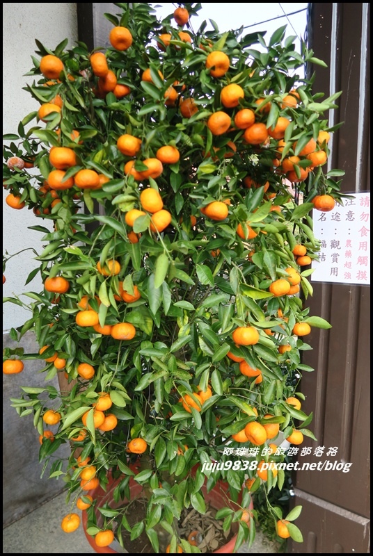 山上人家27.JPG 山上人家27.JPG