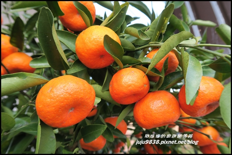 山上人家26.JPG 山上人家26.JPG