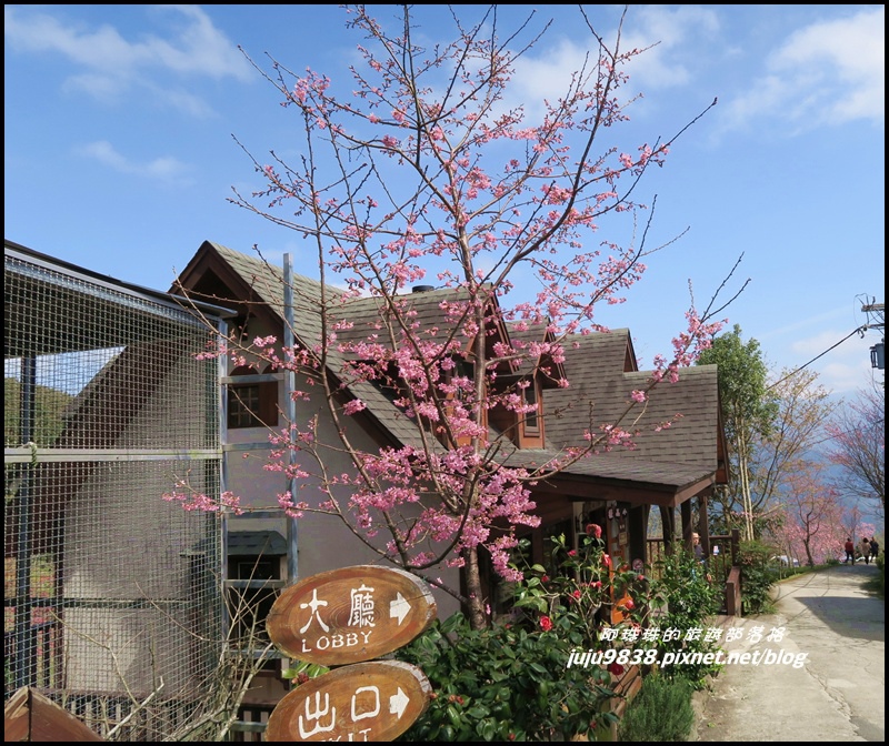 山上人家30.JPG 山上人家30.JPG