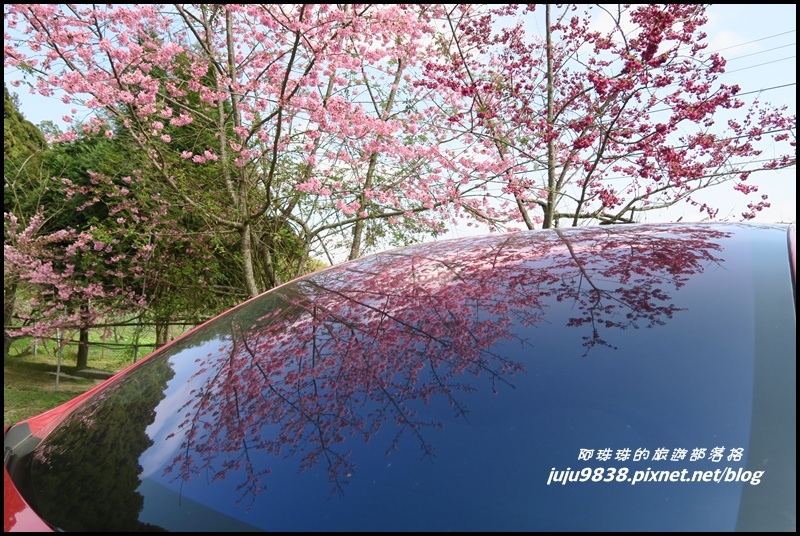 山上人家31.JPG 山上人家31.JPG