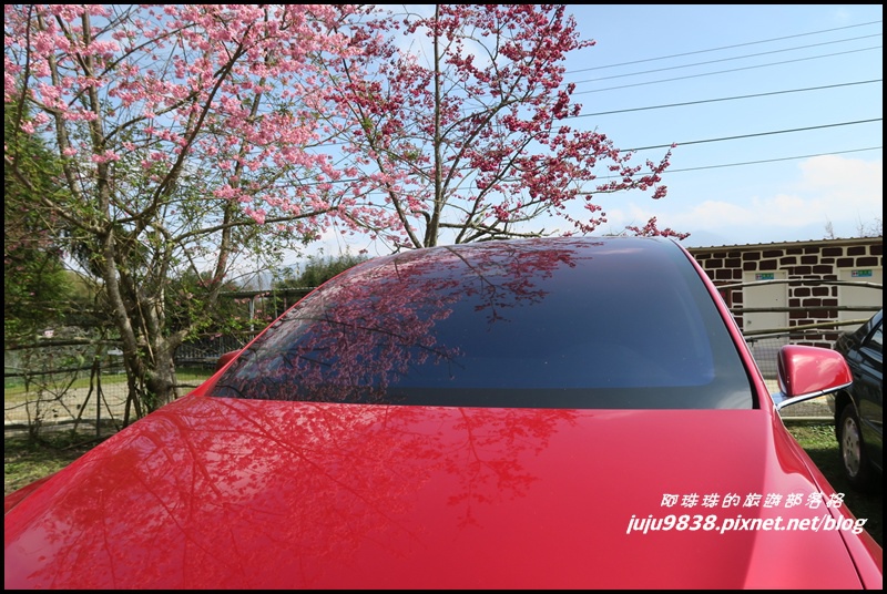 山上人家34.JPG 山上人家34.JPG