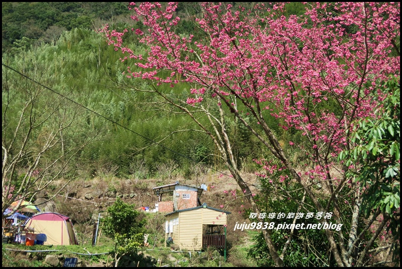 山上人家37.JPG 山上人家37.JPG