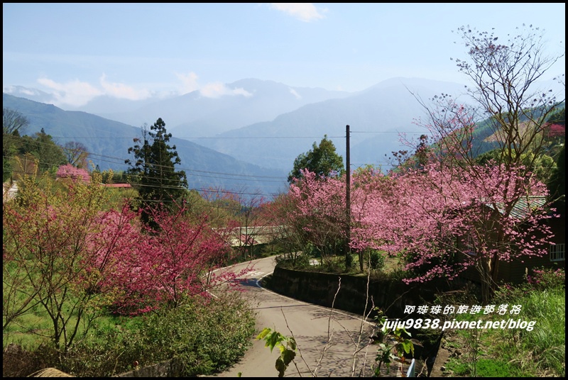 山上人家41.JPG 山上人家41.JPG