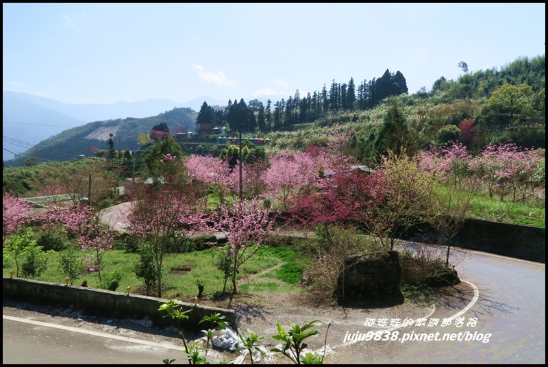 山上人家46.JPG 山上人家46.JPG