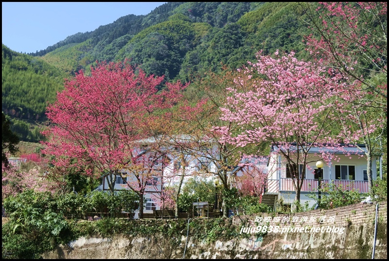 山上人家47.JPG 山上人家47.JPG