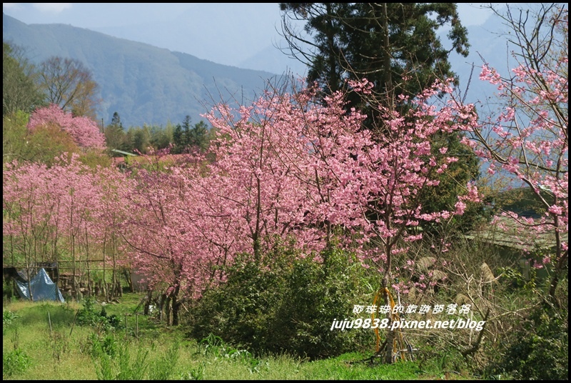 山上人家48.JPG 山上人家48.JPG