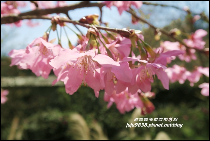 山上人家49.JPG 山上人家49.JPG