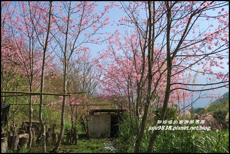 山上人家50.JPG 山上人家50.JPG