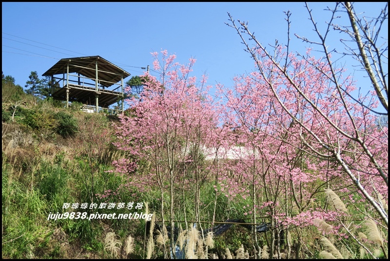 山上人家51.JPG 山上人家51.JPG