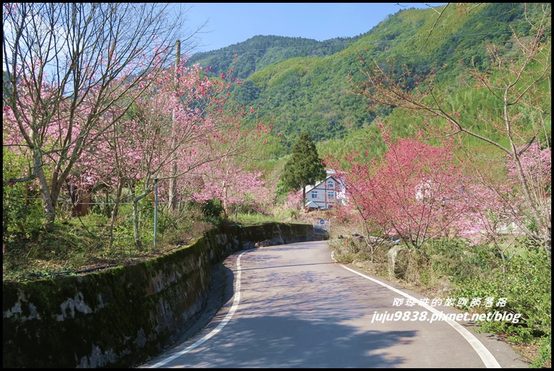 山上人家53.JPG 山上人家53.JPG