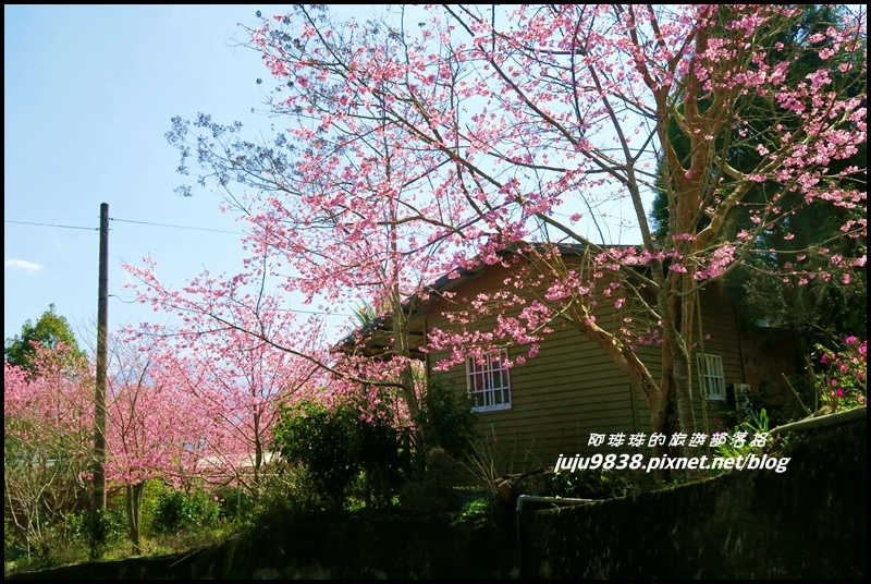 山上人家54.JPG 山上人家54.JPG