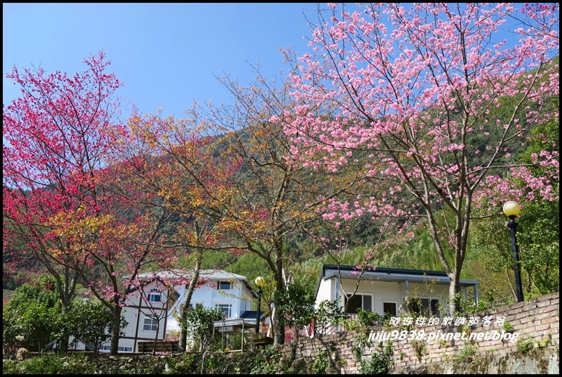 山上人家55.JPG 山上人家55.JPG