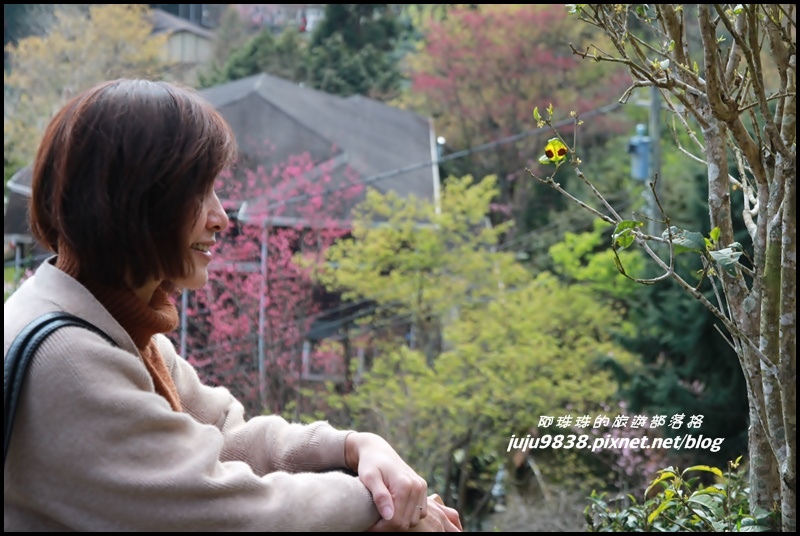 山上人家57.JPG 山上人家57.JPG