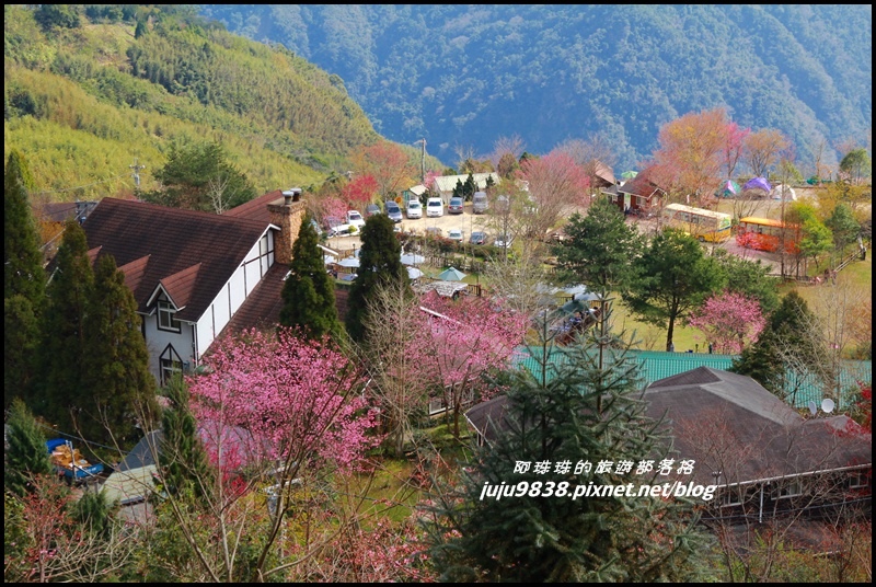 山上人家59.JPG 山上人家59.JPG