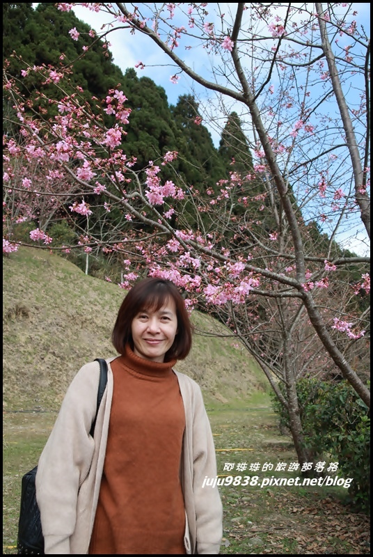 山上人家60.JPG 山上人家60.JPG