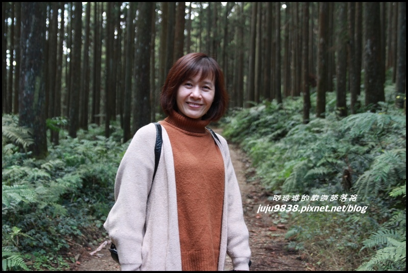 山上人家62.JPG 山上人家62.JPG