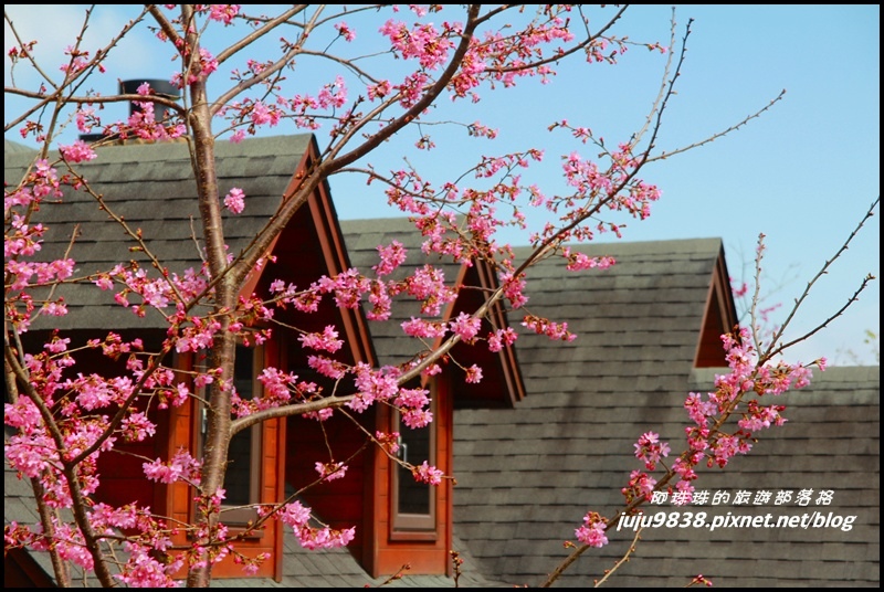 山上人家73.JPG 山上人家73.JPG