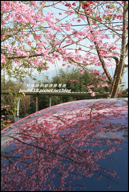 山上人家76.JPG 山上人家76.JPG