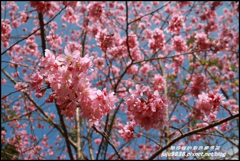 山上人家77.JPG 山上人家77.JPG