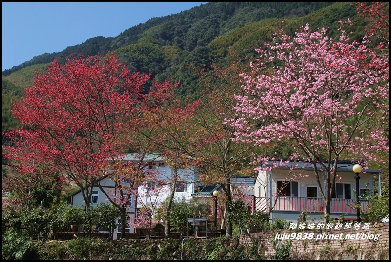 山上人家80.JPG 山上人家80.JPG