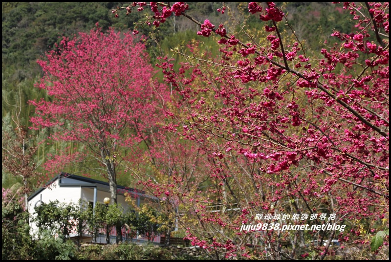 山上人家83.JPG 山上人家83.JPG