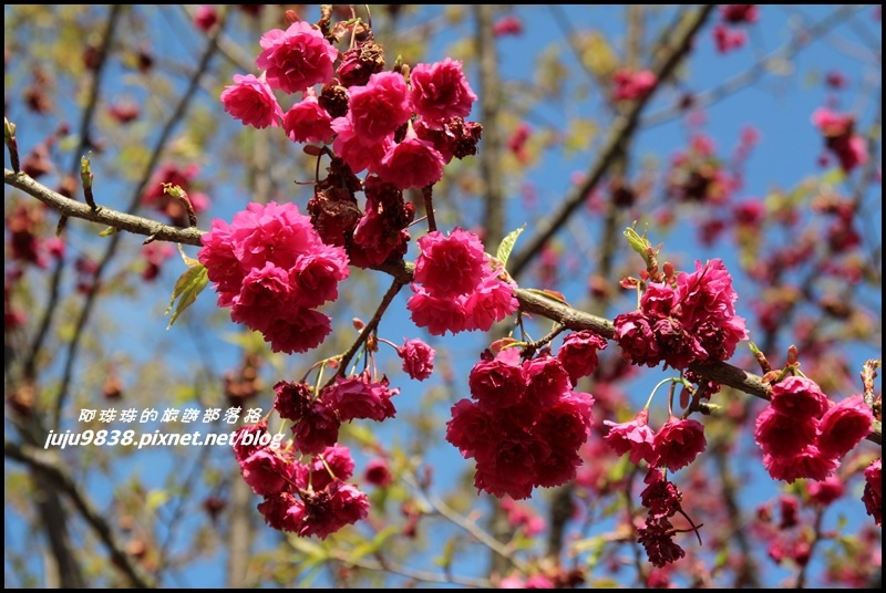 山上人家84.JPG 山上人家84.JPG