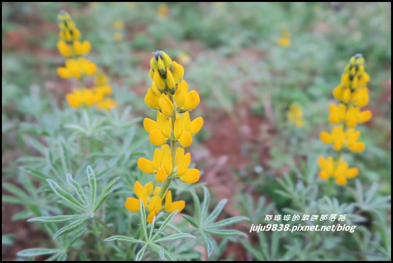 大北坑5.JPG 大北坑5.JPG