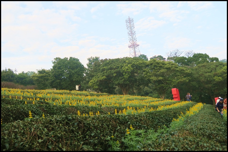 大北坑7.JPG 大北坑7.JPG