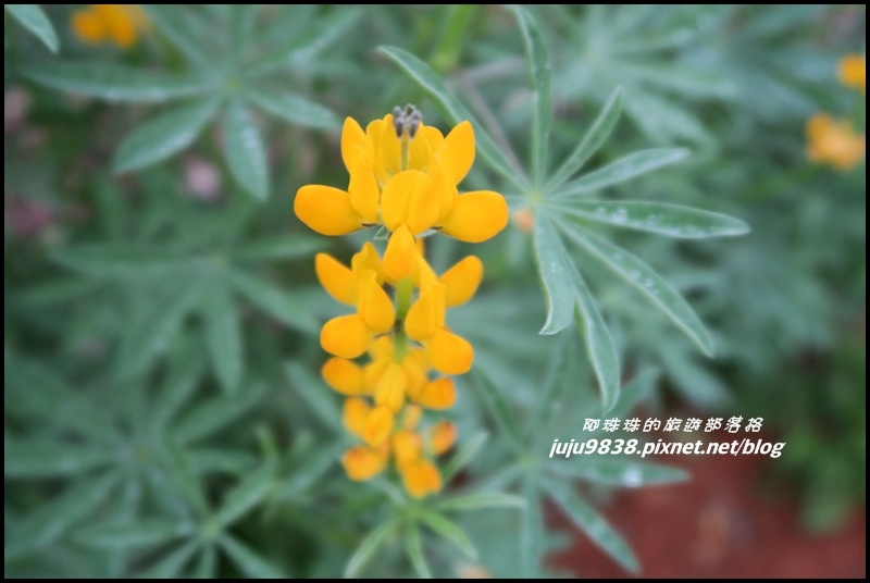 大北坑9.JPG 大北坑9.JPG