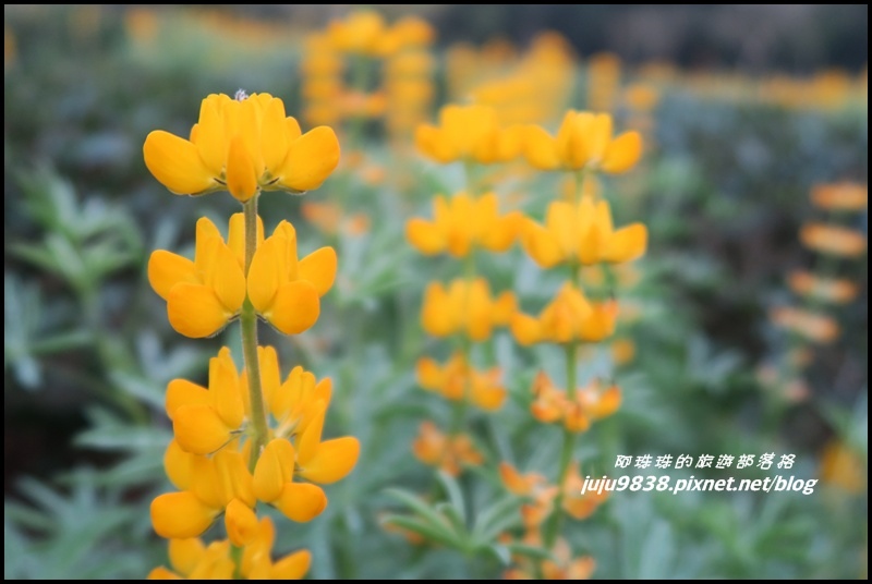 大北坑10.JPG 大北坑10.JPG