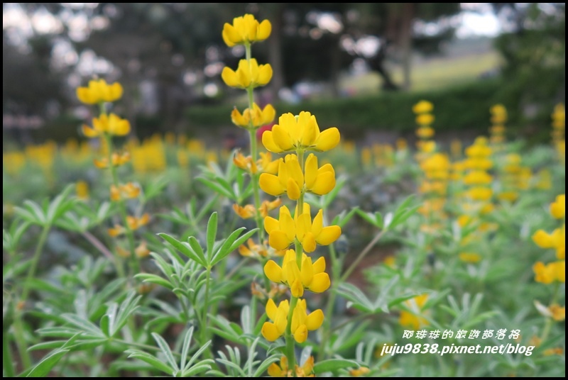 大北坑11.JPG 大北坑11.JPG