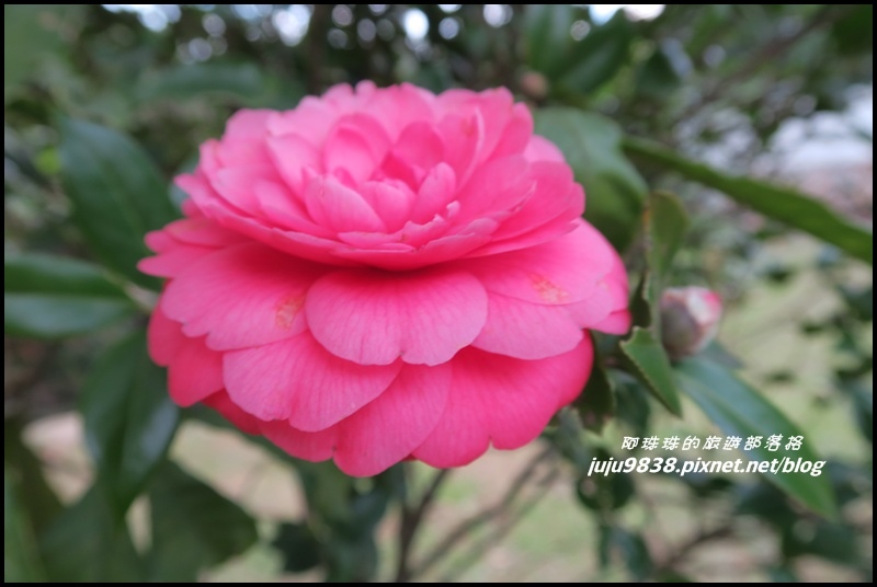 大北坑15.JPG 大北坑15.JPG