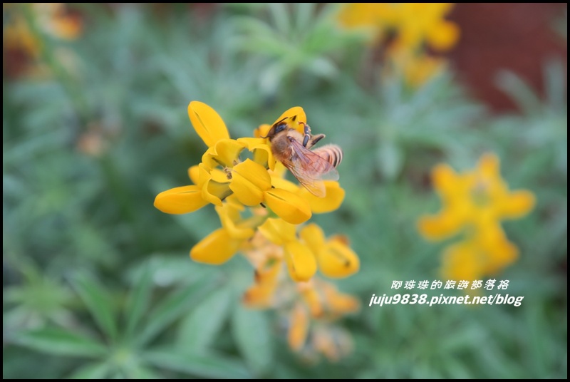 大北坑17.JPG 大北坑17.JPG