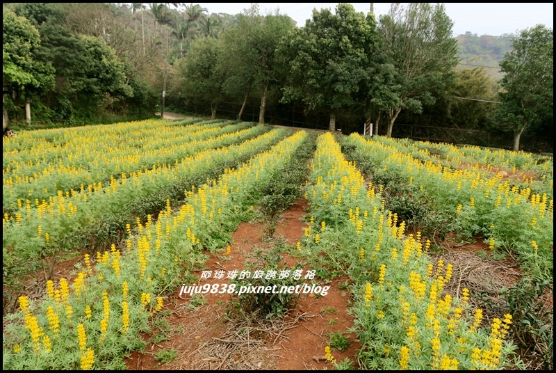 大北坑16.JPG 大北坑16.JPG