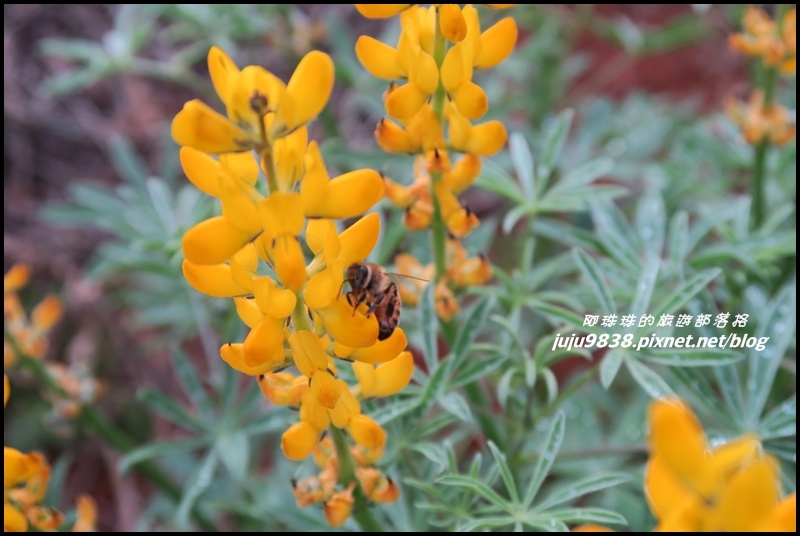 大北坑18.JPG 大北坑18.JPG