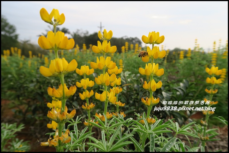 大北坑20.JPG 大北坑20.JPG