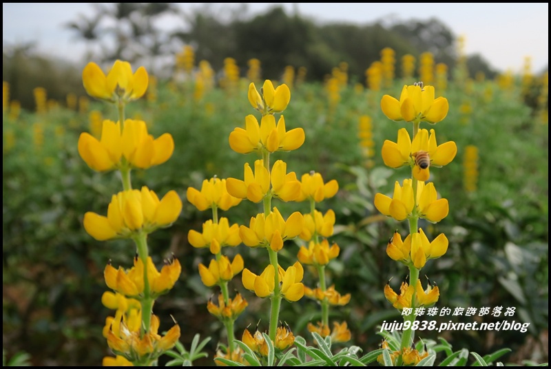 大北坑19.JPG 大北坑19.JPG