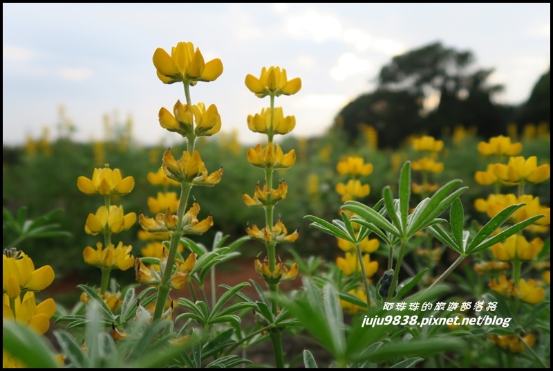 大北坑21.JPG 大北坑21.JPG