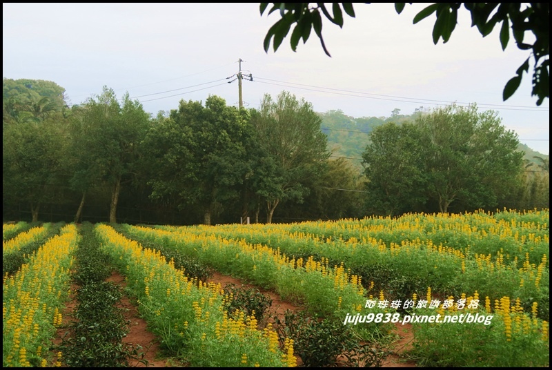 大北坑23.JPG 大北坑23.JPG