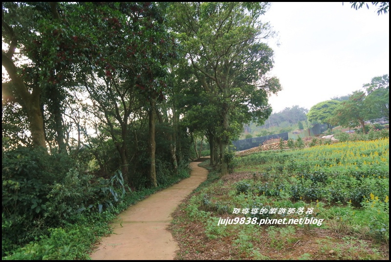 大北坑24.JPG 大北坑24.JPG