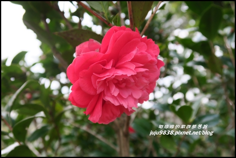 大北坑25.JPG 大北坑25.JPG