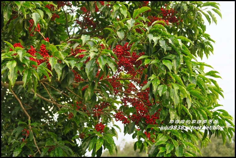 大北坑33.JPG 大北坑33.JPG